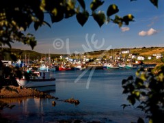 St. Lawrence